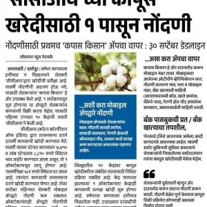 WhatsApp_Image_2025-09-01_at_12.23.13_PM1_original