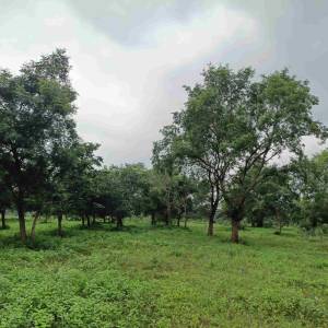 WhatsApp_Image_2025-11-04_at_4.13.31_PM_1_original_copy_1