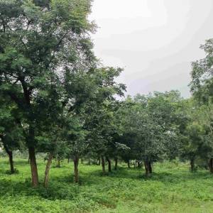 WhatsApp_Image_2025-11-04_at_4.13.32_PM_original