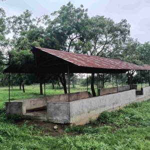 WhatsApp_Image_2025-11-04_at_4.13.33_PM_1_original